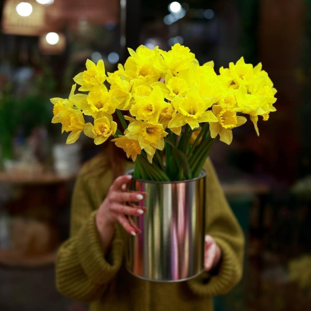 Нарцисс желтый