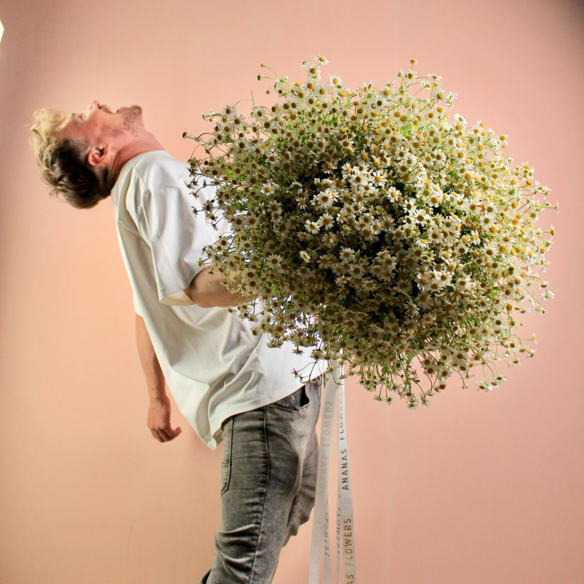 Ромашка танацетум