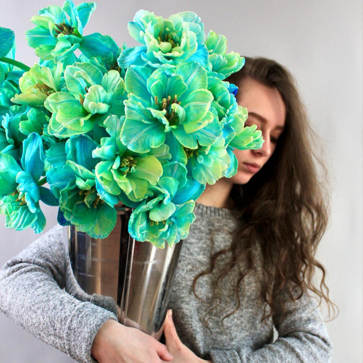 Тюльпан пионовидный крашеный