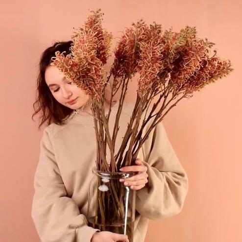 Гревиллея Спайдермен