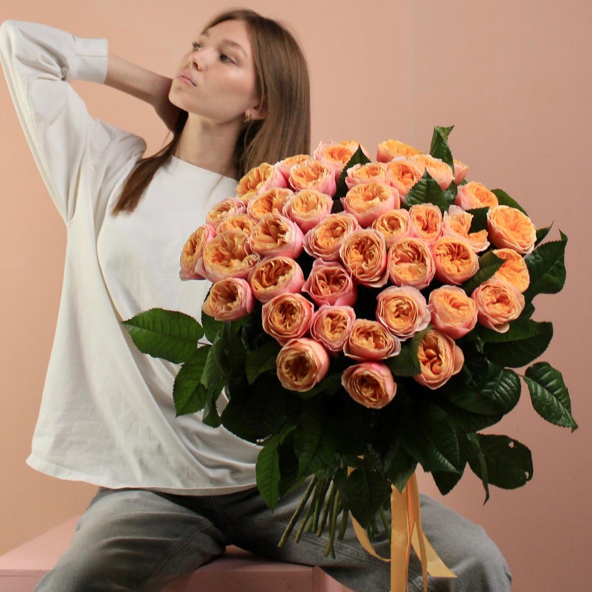 Роза пионовидная Vuvuzela