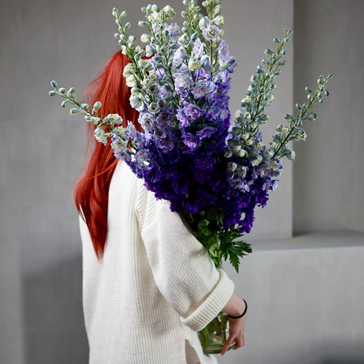 Дельфиниум фиолетовый