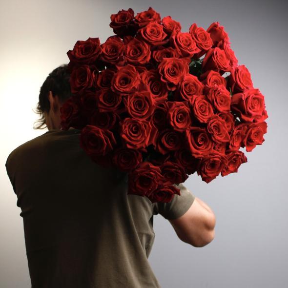 Роза Эквадор Explorer 50 см